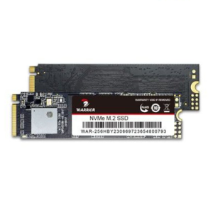 Warrior 256GB NVME